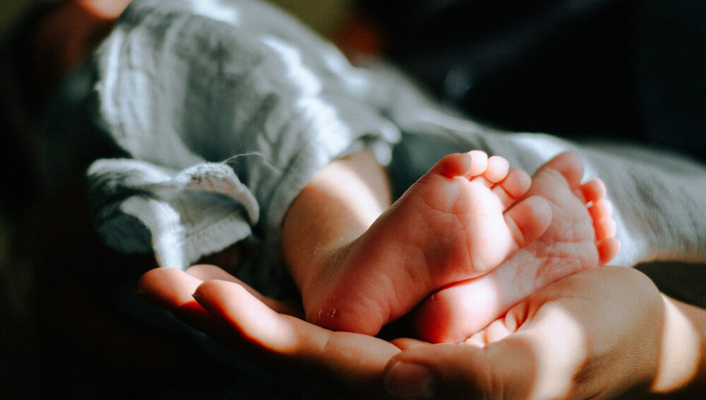 naissance conges salaries independants